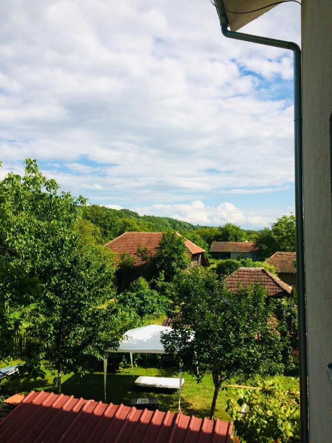 Domacinstvo Trifunovic Lägenhet Pretresnja Exteriör bild