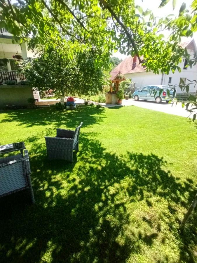 Domacinstvo Trifunovic Lägenhet Pretresnja Exteriör bild