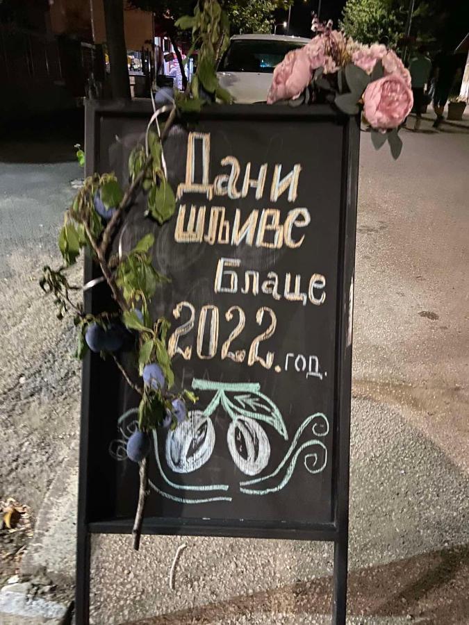 Domacinstvo Trifunovic Lägenhet Pretresnja Exteriör bild